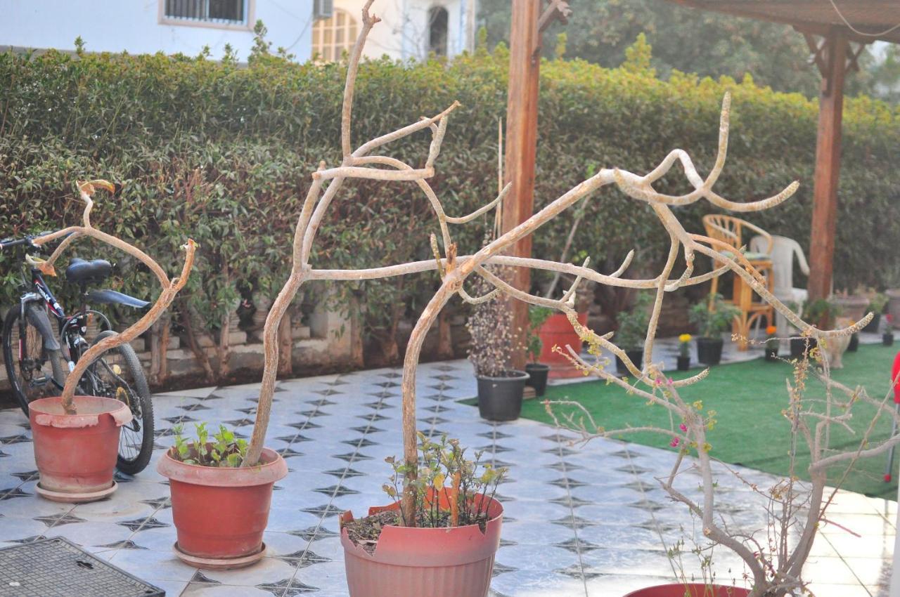 Morning Star Guesthouse Шарм-эль-Шейх Экстерьер фото
